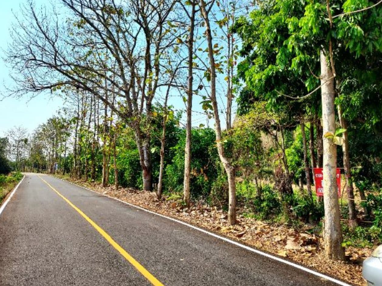 ที่ดินใกล้เมือง อ.สันกำแพง ติดอบต.แช่ช้าง วิวสวย มีถนนคอนกรีตตัดผ่าน
