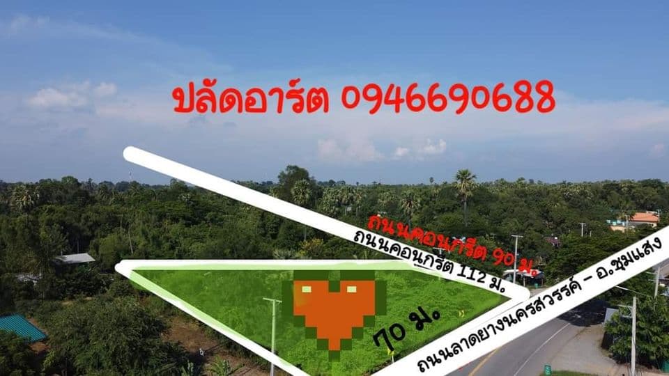ที่ดินแปลงสวย ชุมแสง นครสวรรค์ 2-0-58