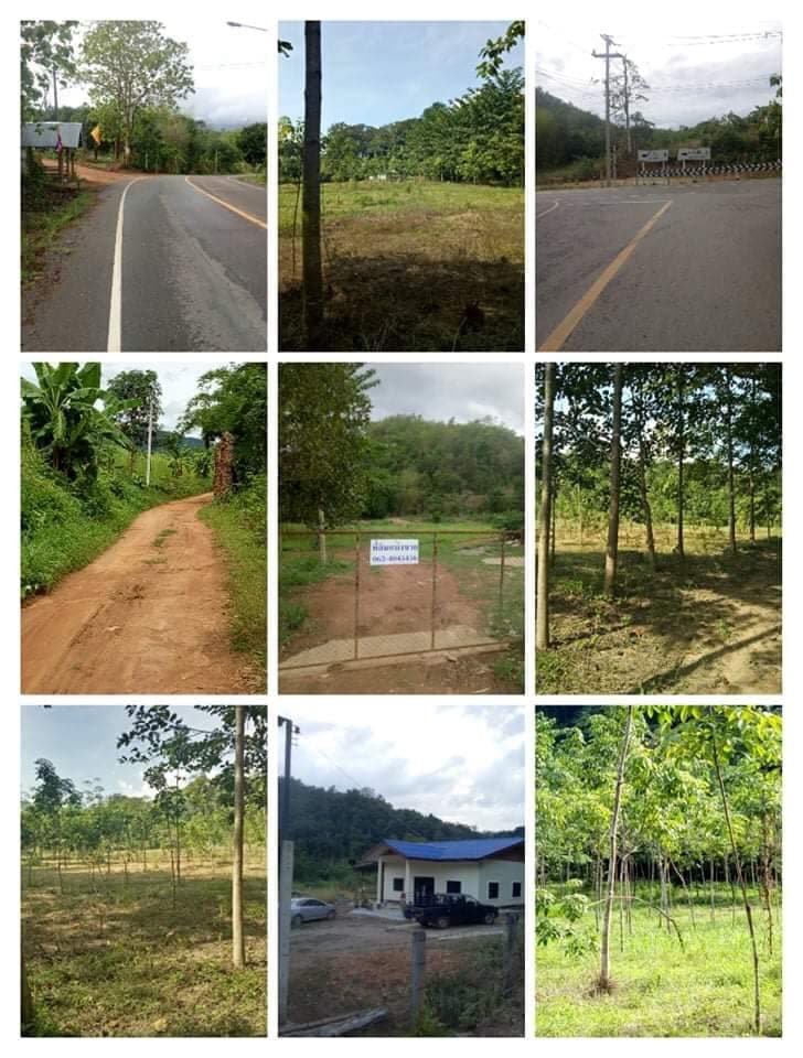 ขายที่ดิน แม่ฮ่องสอน 1 ไร่