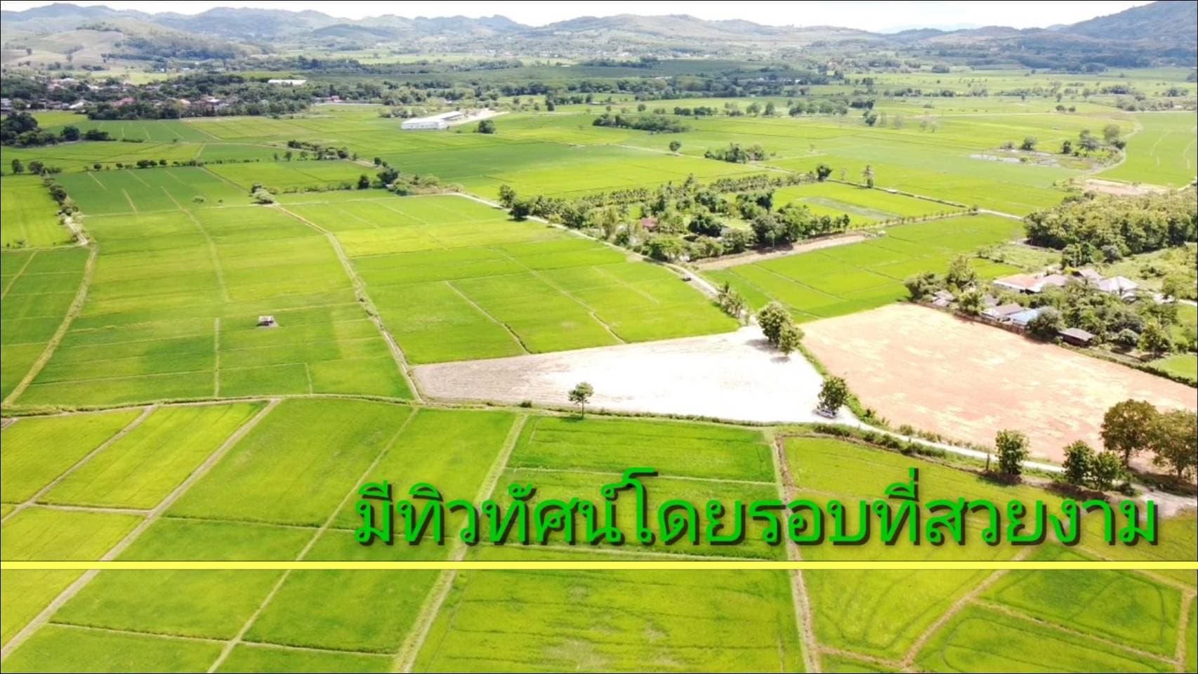 ที่ดินทุ่งนาวิวสวย แม่จัน เชียงราย 3-1-72