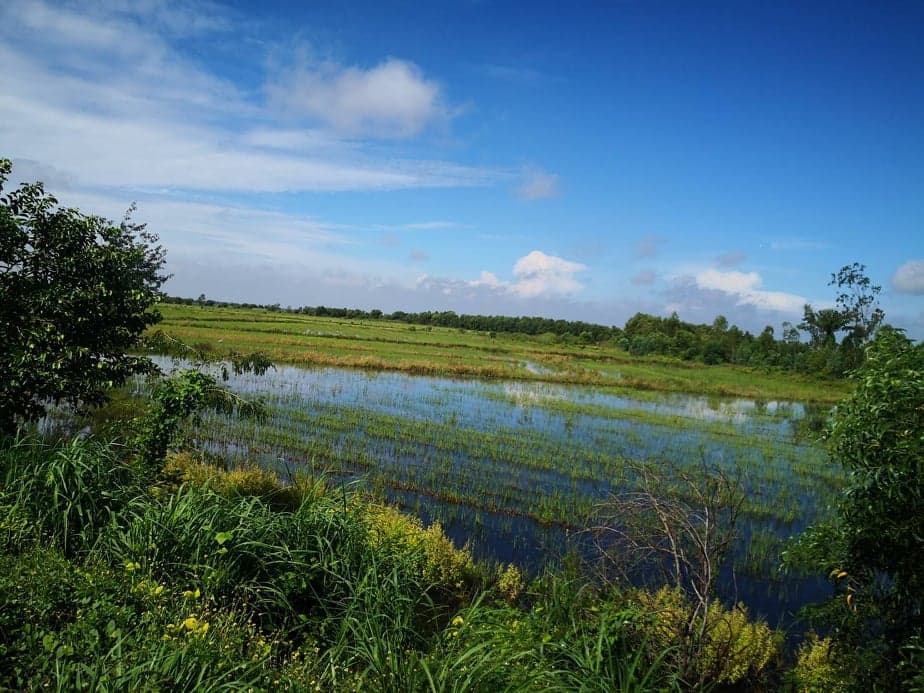 ขายที่ดินเปล่าปราจีนบุรี จ.ปราจีนบุรี อ.ศรีมโหสถ 14-0-25 ไร่