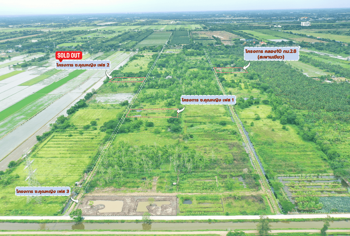 ขายที่ดินปทุมธานี หนองเสือ ที่ดินเปล่ารวม 2 โฉนด คลอง 10 ซอยคุณหญิง เฟส 3 
