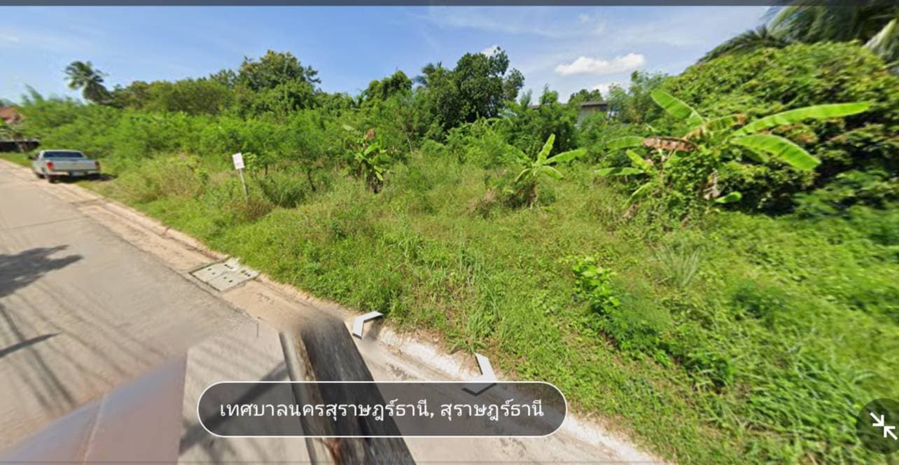 ขายที่ดิน สุราษฎร์ธานี 1-0-48.6 ไร่