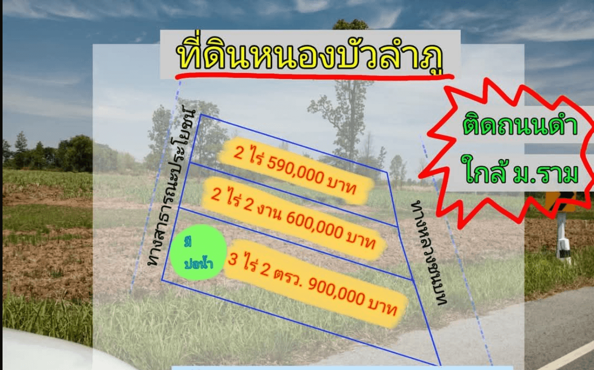 ❌ขายที่ดินหนองบัวลำภู ติดถนนดำ ห่างจาก ม.ราม 4 กิโล 📄โฉนดครุฑแดง📃 มี 3 แปลง ✅แปลงแรก 2 ไร่  590,000 บาท ✅แปลงที่สอง 2 ไร่ 2 งาน 600,000 บาท ✅แปลงที่สาม 3 ไร่ 2 ตรว มีบ่อน้ำ 💧🏄🤽‍♂️🚣‍♂️ 900,000 บาท น้ำไม่ท่วม ไม่มีแผ่นดินไหว ทุกแปลงติดถนนดำ  #ที่ดินไม่แผ่นดินไหว #โฉนดที่ดิน #ที่ดินราคาถูก #รีวิวที่ดิน #ซื้อขายที่ดิน #ที่ดินปลูกบ้าน #ที่ดินจัดสรร #ขายที่ดิน #ที่ดินปลูกบ้านสวน #ที่ดินสวย #ที่ดินเพื่อการลงทุน #ที่ดินปลูกบ้านพักผ่อน #ที่ดินปลูกบ้านพักผ่อน #ที่ดินการเกษตร #ที่ดินน่าลงทุน #บ้านและที่ดิน #ที่ดินเงินผ่อน #ที่ดินพร้อมบ้าน #ที่ดินสร้างบ้าน