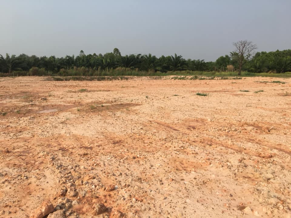 ที่ดินติดทางสารธารณะ (ถมแล้ว) เนื้อที่ 2 ไร่ 73 ตรว พิษณุโลก 