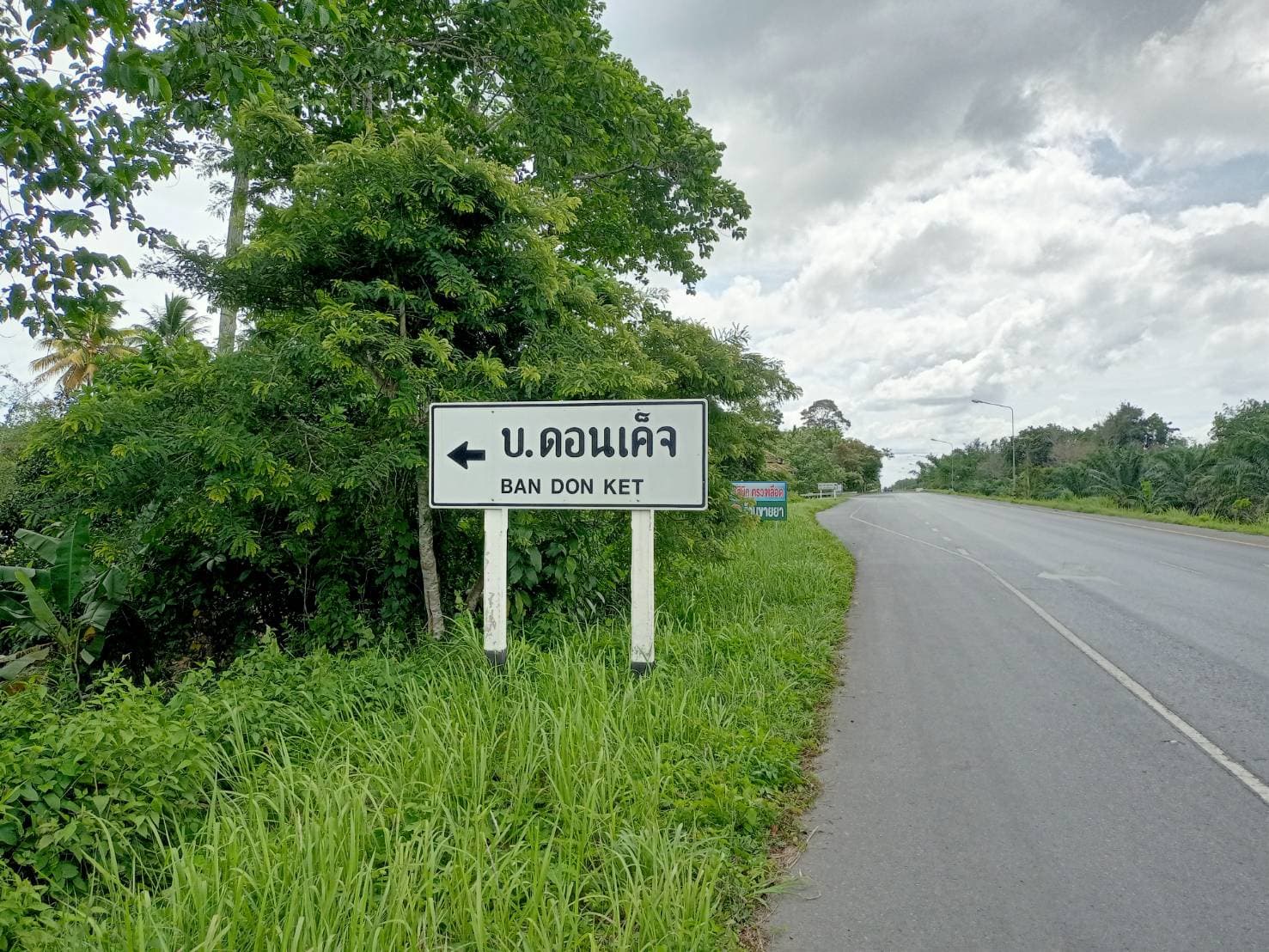ขายที่ดิน สุราษฎร์ธานี 9-1-68.3 ไร่