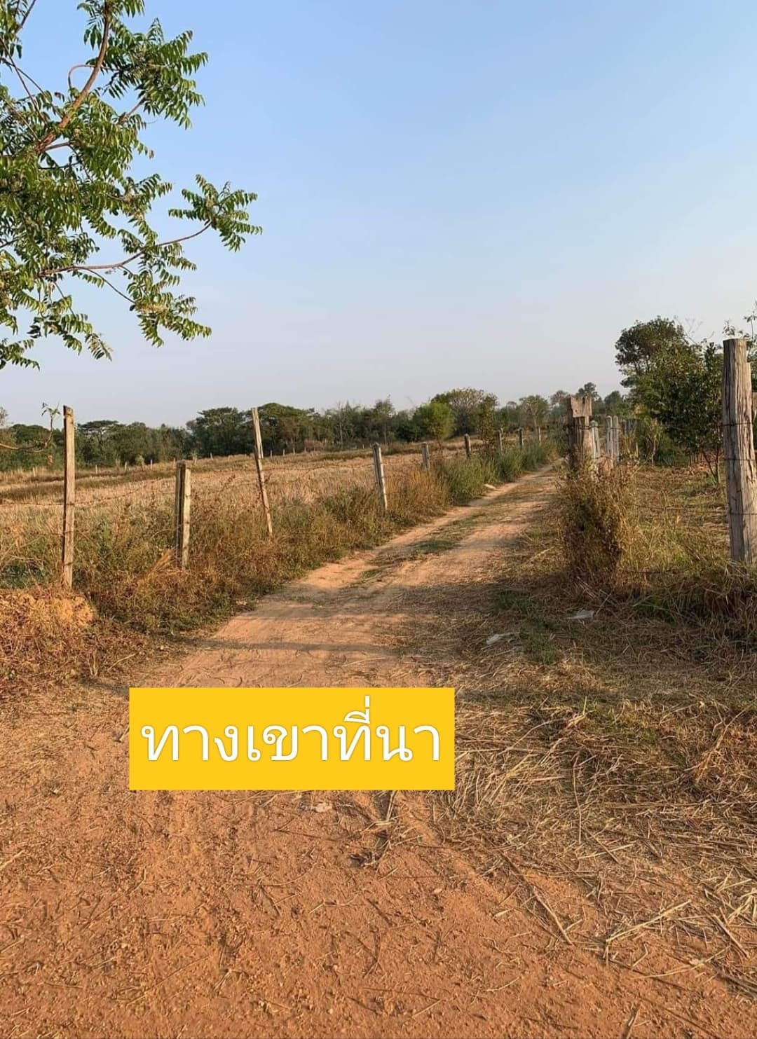 ที่ดินเปล่าขอนแก่น จ.ขอนแก่น อ.เมืองขอนแก่น 4-0-47 ไร่