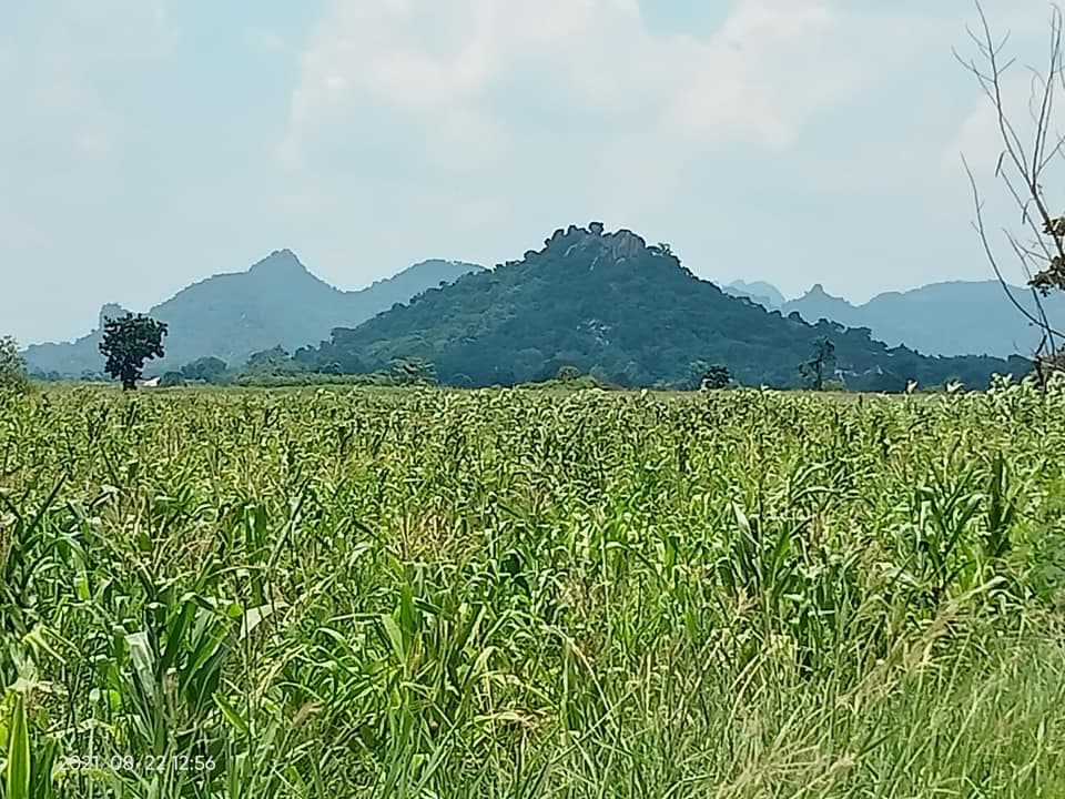 ที่ดินแปลงสวย ลพบุรี 3 ไร่
