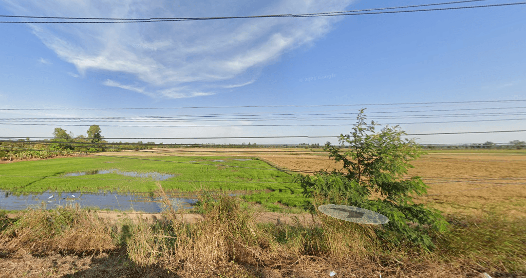 ขายที่ดินเปล่าปราจีนบุรี จ.ปราจีนบุรี อ.ศรีมโหสถ 12-2-66 ไร่