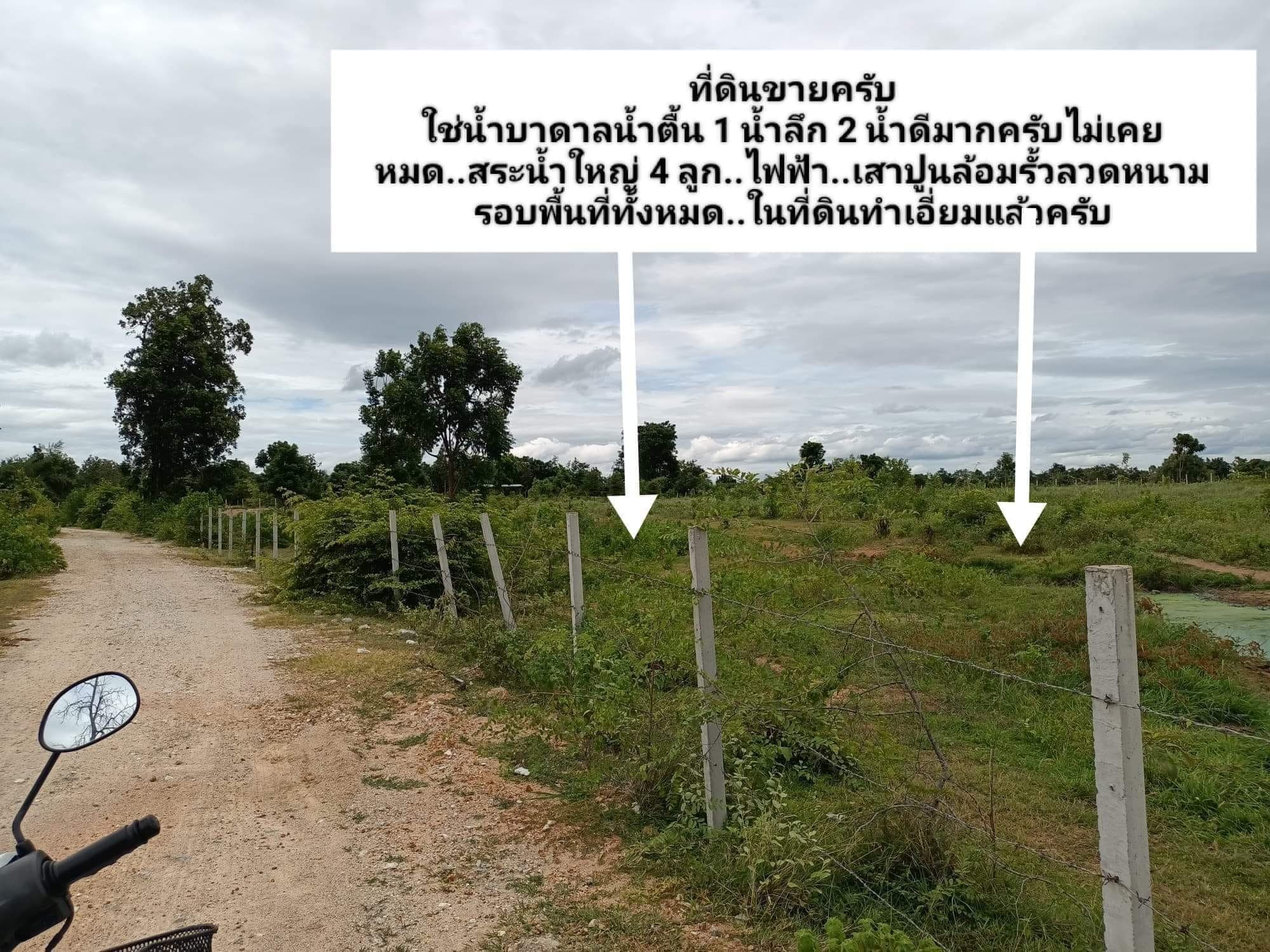 ขายที่ดิน ตาก 90 ไร่