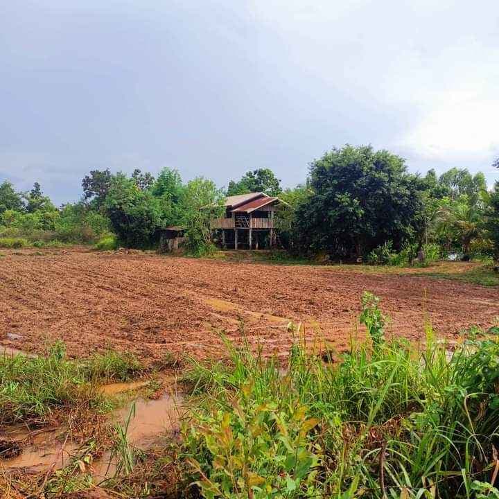 ขายที่ดิน พร้อมบ้านไม้ อำเภอเพ็ญ จังหวัดอุดรธานี 5-1-28 ไร่