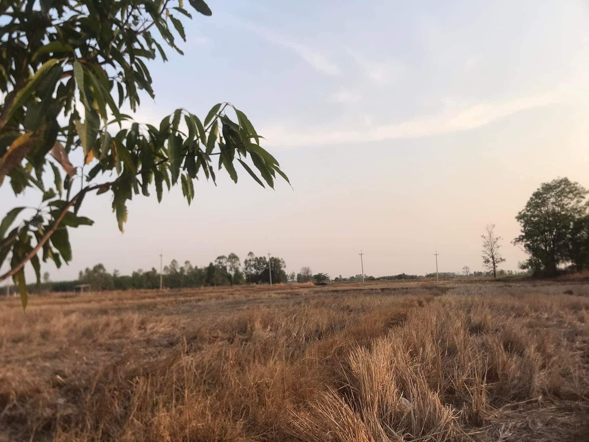 ขายที่ดินกาฬสินธุ์ กุฉินารายณ์ 11-2-53