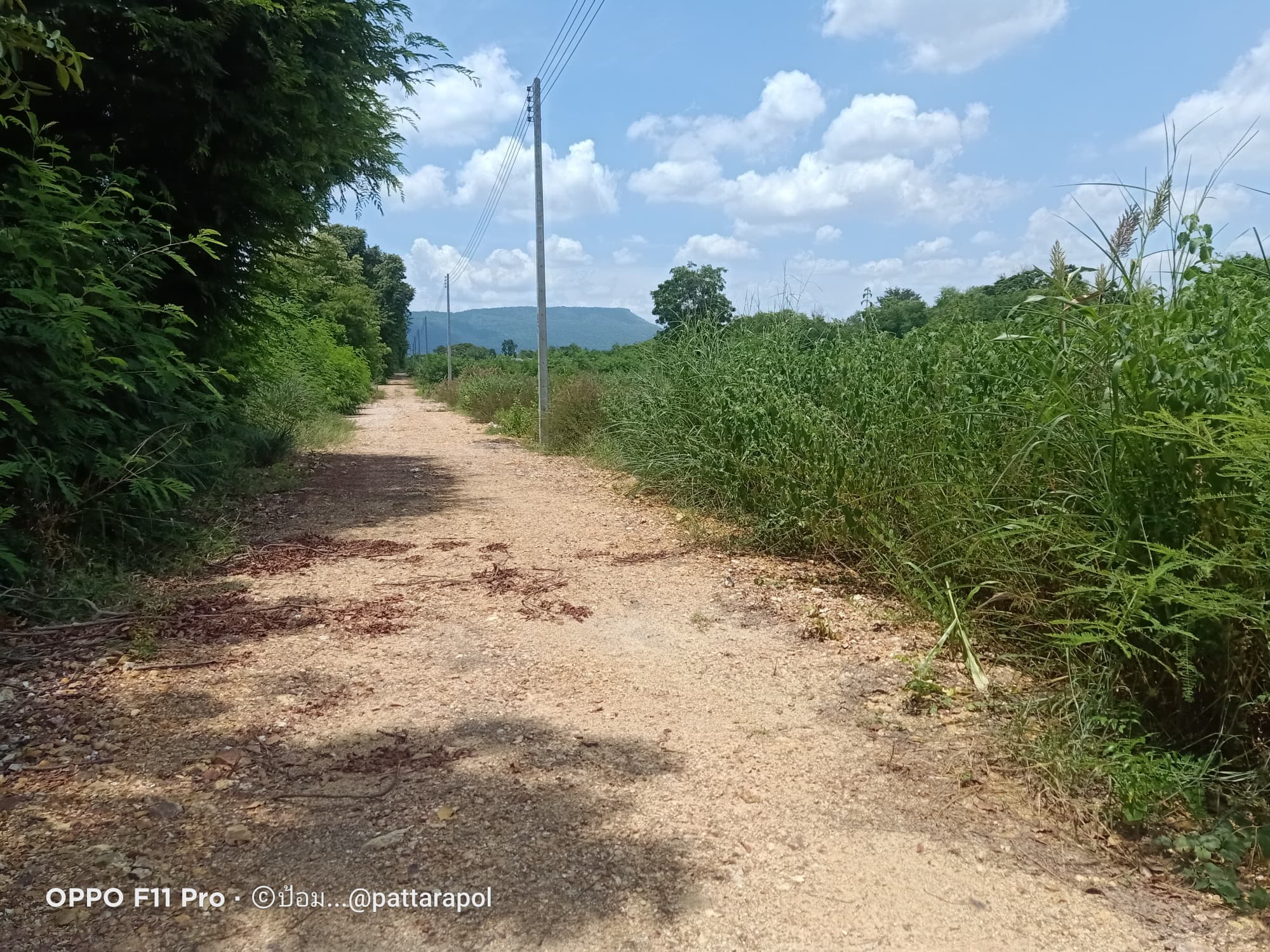 ขายที่ดิน ที่เปล่า พัฒนานิคม ลพบุรี