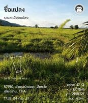 ที่ดิน ทุ่งนา ป่าแดด เชียงราย 20-2-60