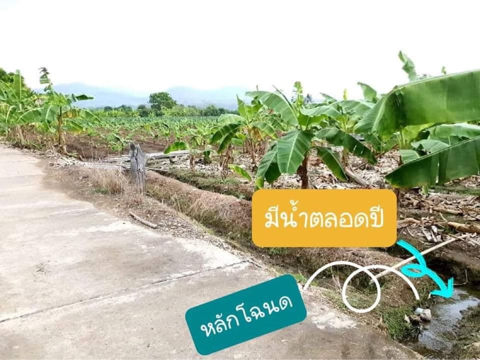 ขายที่ดินเชียงใหม่ เข้าทางเขื่อนแม่งัด เชียงใหม่ อ.เเม่เเตง 2-2-54