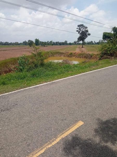 ขายที่ดิน ร้อยเอ็ด 2-2-80.7 ไร่