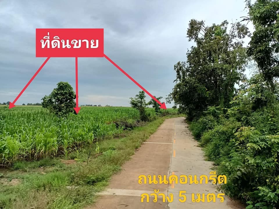 ขายที่ดิน ตาก 141-2-35 ไร่