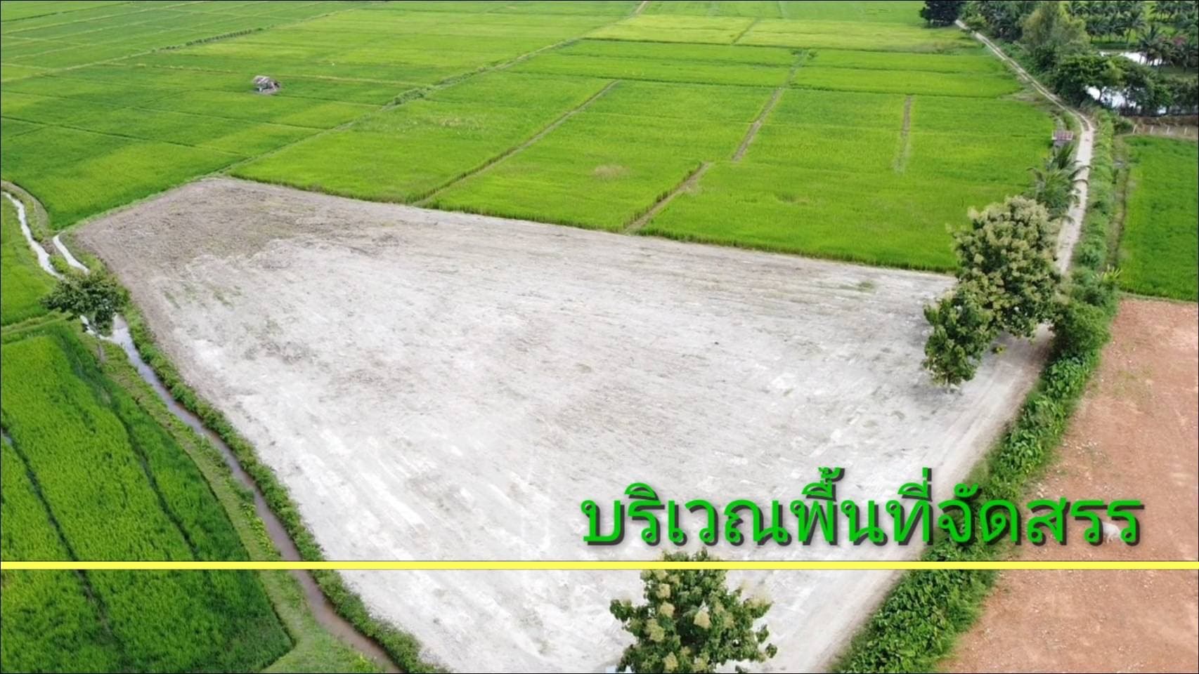ที่ดินทุ่งนาวิวสวย แม่จัน เชียงราย 3-1-72