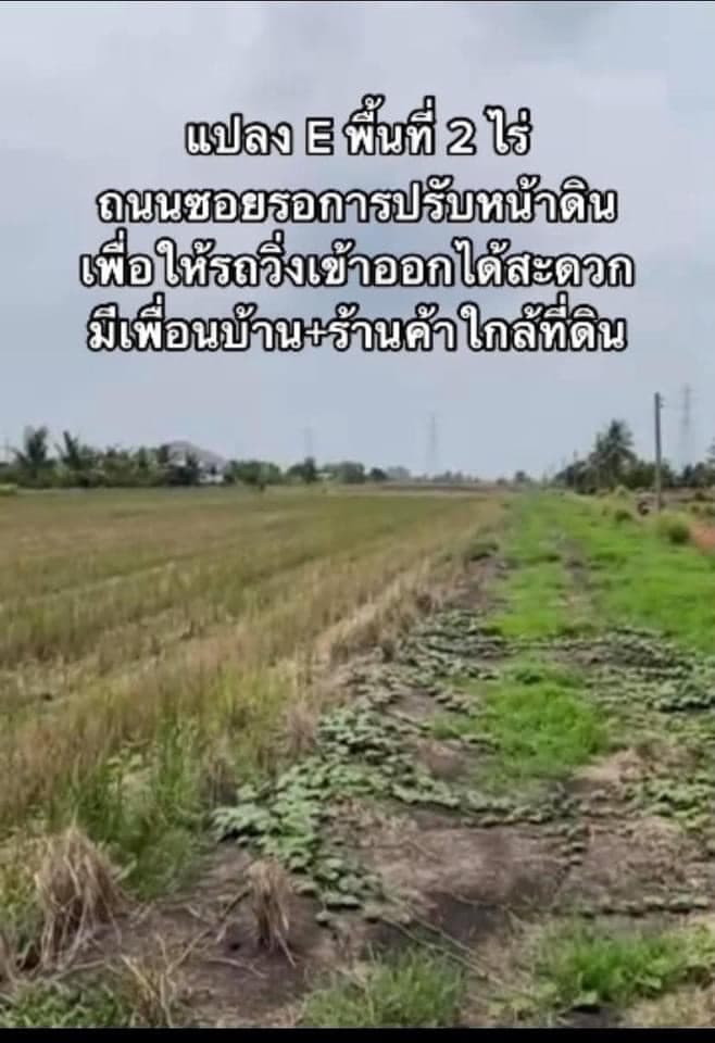 ที่ดินเปล่า ฉะเชิงเทรา 2 ไร่