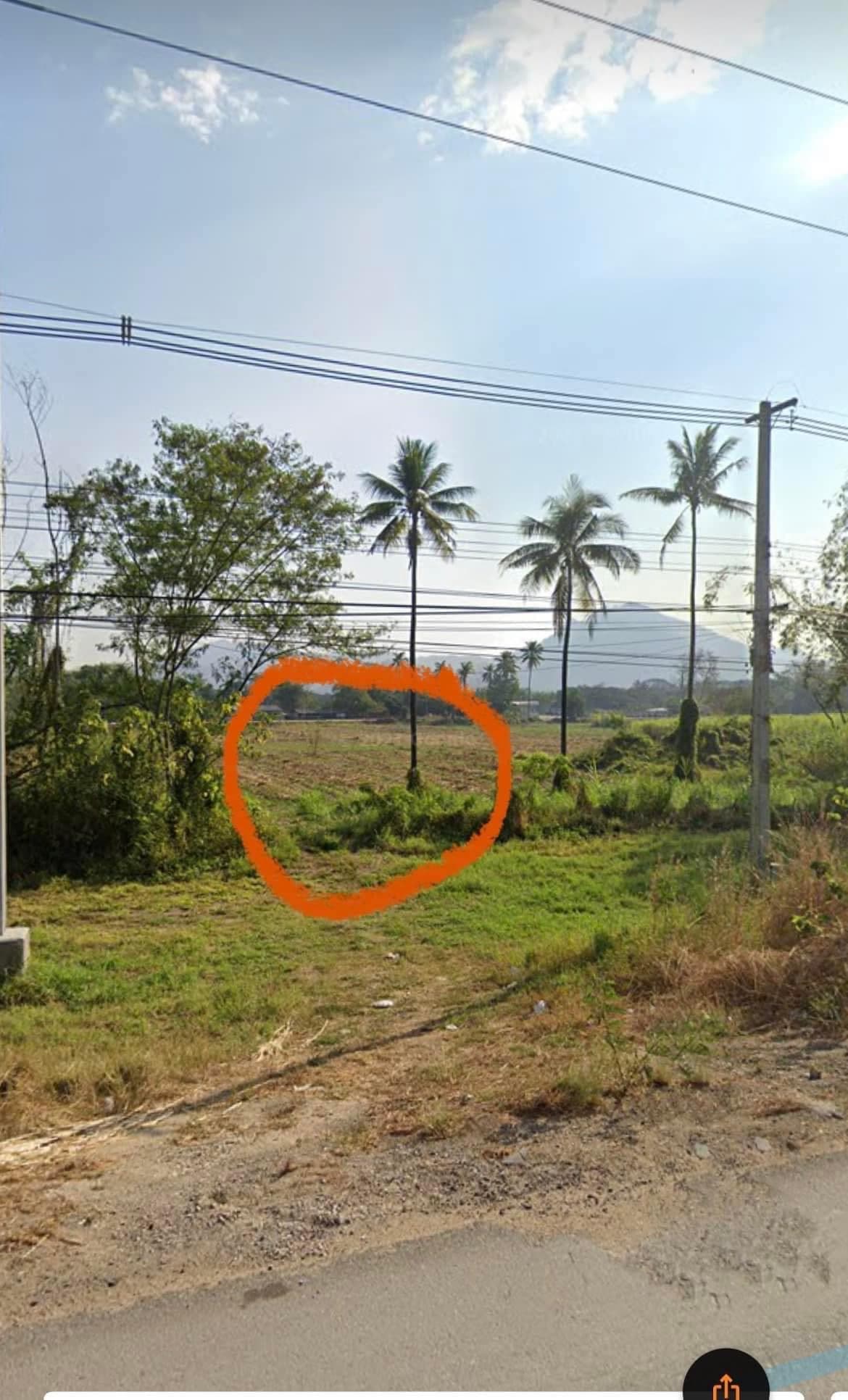 ขายที่ดินเปล่า วังเจ้า ตาก 2ไร่