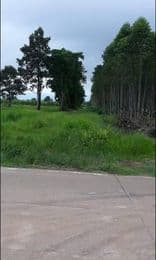 ที่ดินเปล่า กบินทร์บุรี ปี่จีนบุรี 49-2-87