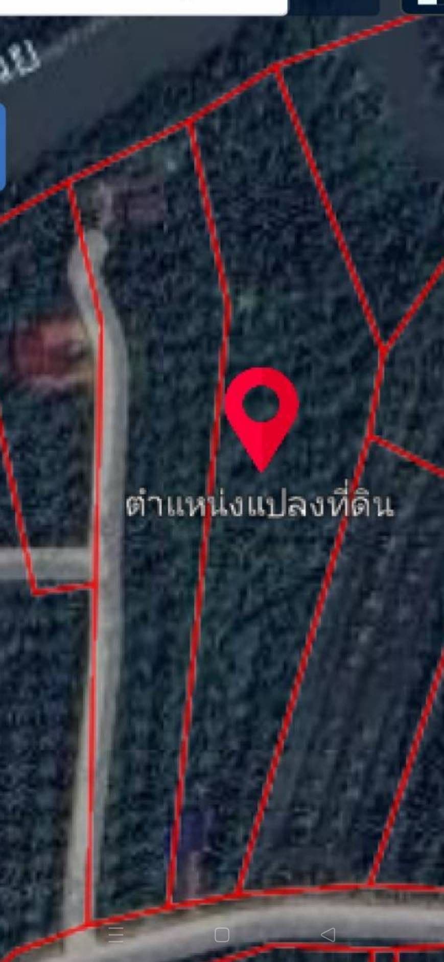 ขายที่ดินสุราษฏร์ ติดถนน ติดแม่น้ำ พร้อม้าน 1 หลังค่ะ