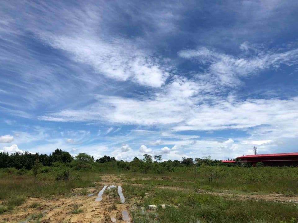 ขายที่ดิน ต.บางกระเจ้า อ.เมือง จ.สมุทรสาคร 20 ไร่