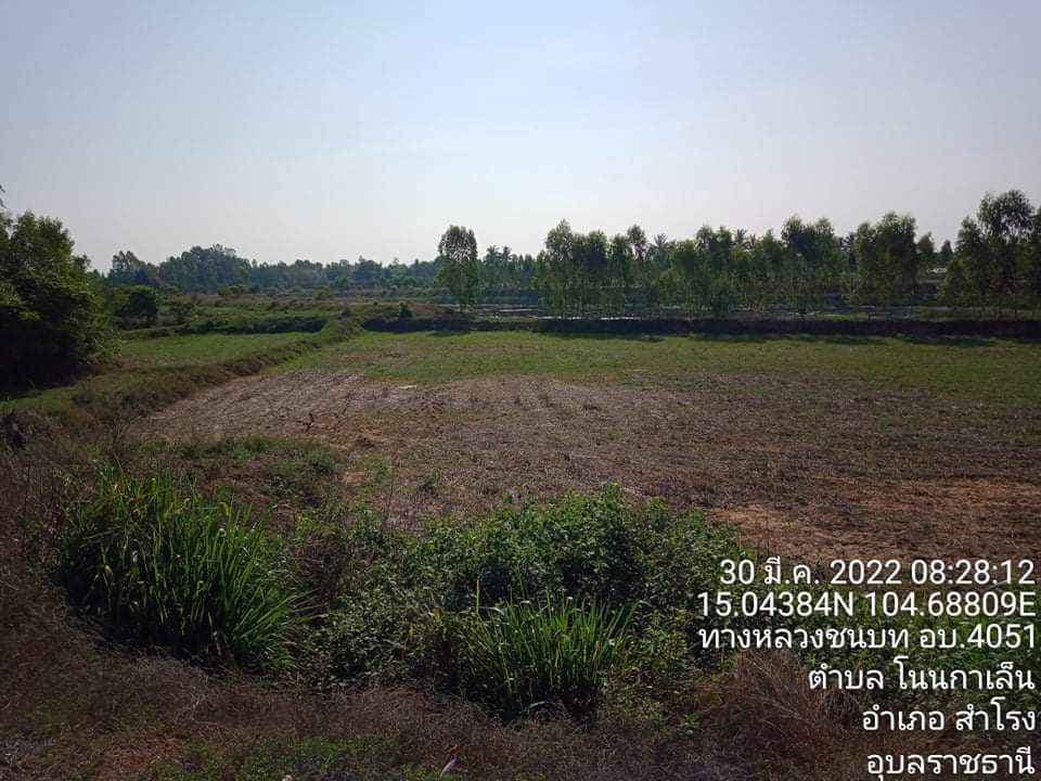 ขายที่ดิน อุบลราชธานี 6-0-43 ไร่