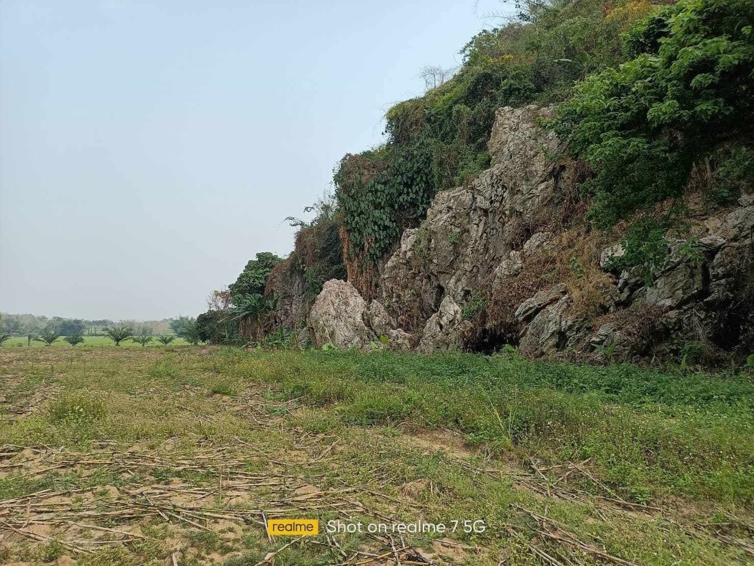ขายที่ดินเชียงราย แม่จัน  หลังไร่ชาฉุยฟง
