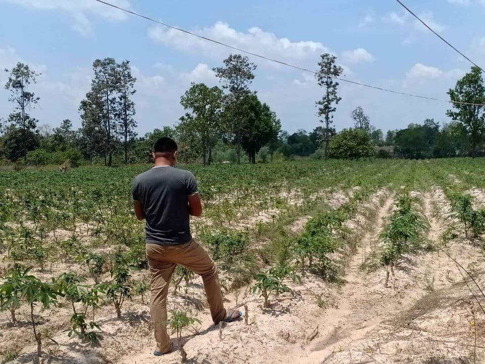 ขายทีดิน อุบลราชธานี 8-1-1.2 ไร่