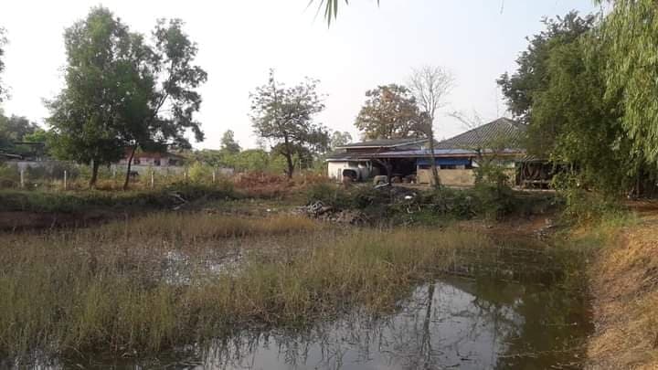 ขายบ้านสวน บ้านน้อย 2 หลัง บนพื้นที่สวน+บ่อปลา+แปลงนา ขอนแก่น