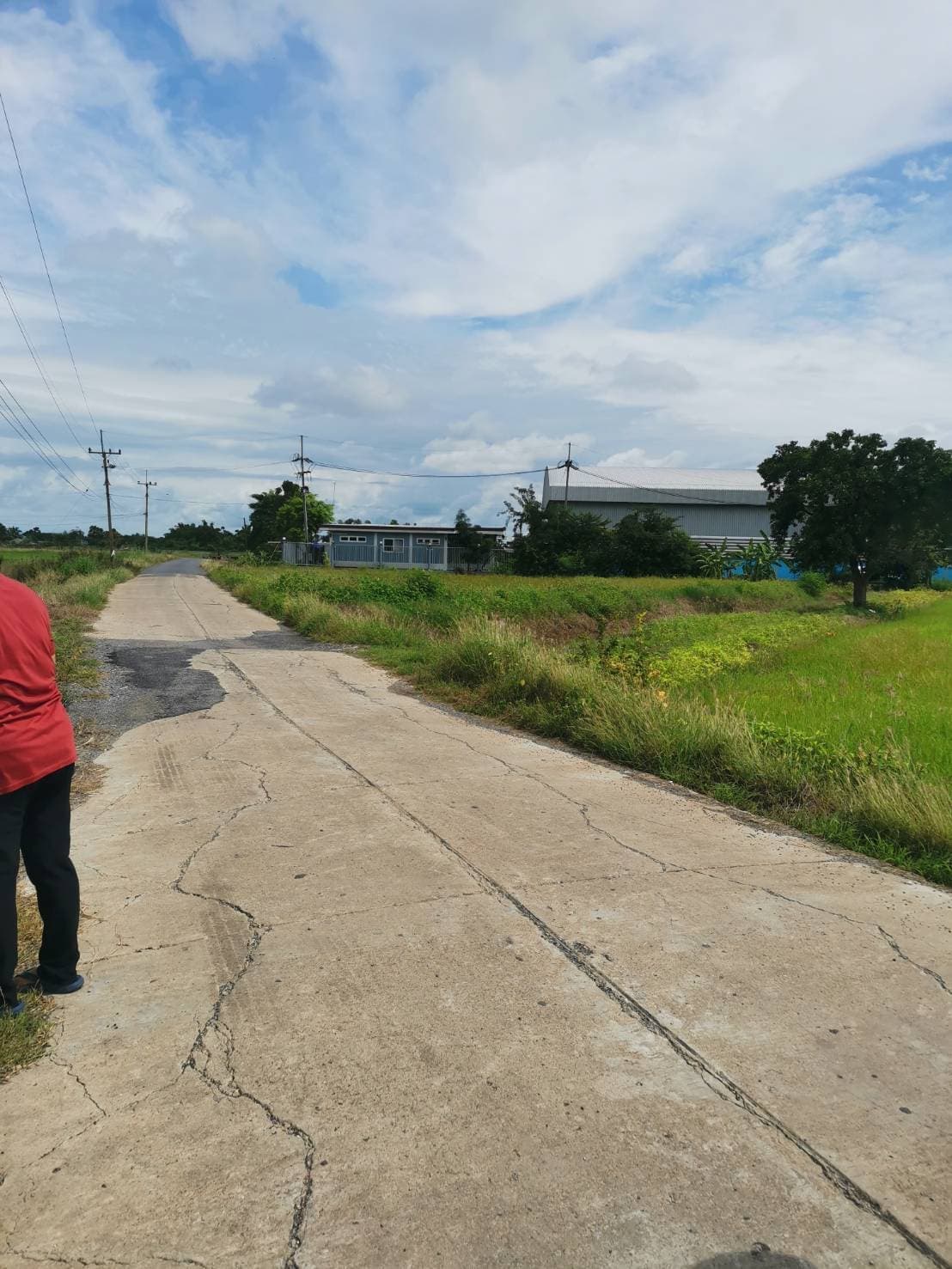 ขายที่ดิน ที่เปล่า บ้านหมี่ ลพบุรี 51-3-41
