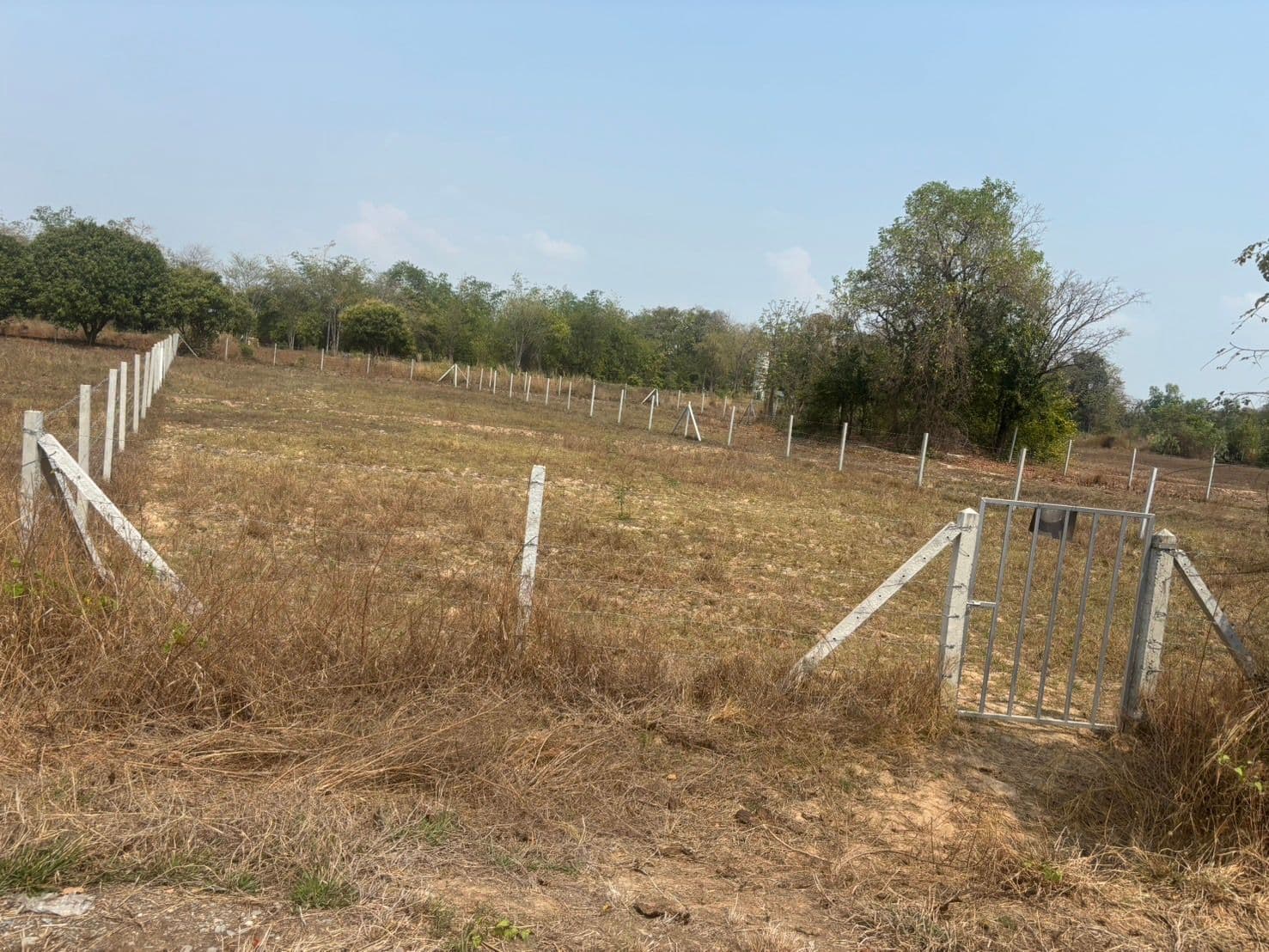 ขายที่ดินต. หนองสาหร่าย  อำเภอดอนเจดีย์ สุพรรณบุรี ที่ดินเปล่า ล้อมรั้วเรียบร้อย