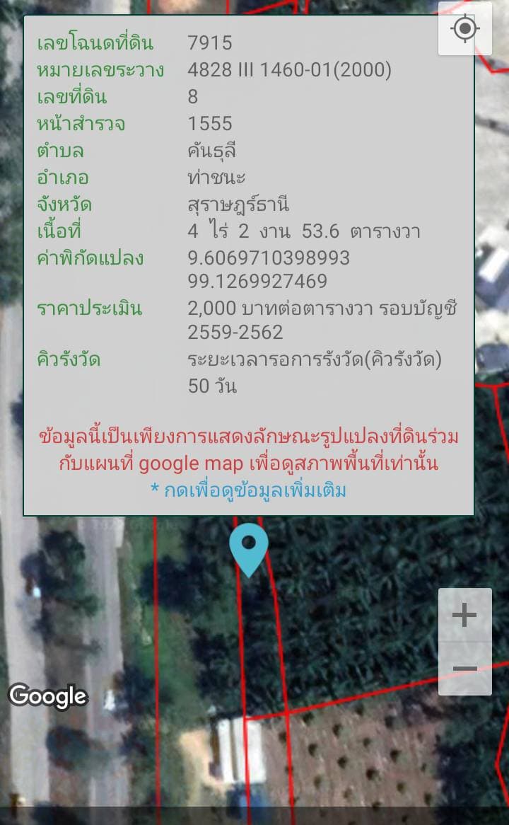 ขายที่ดิน สุราษฎร์ธานี 4-2-53.6 ไร่