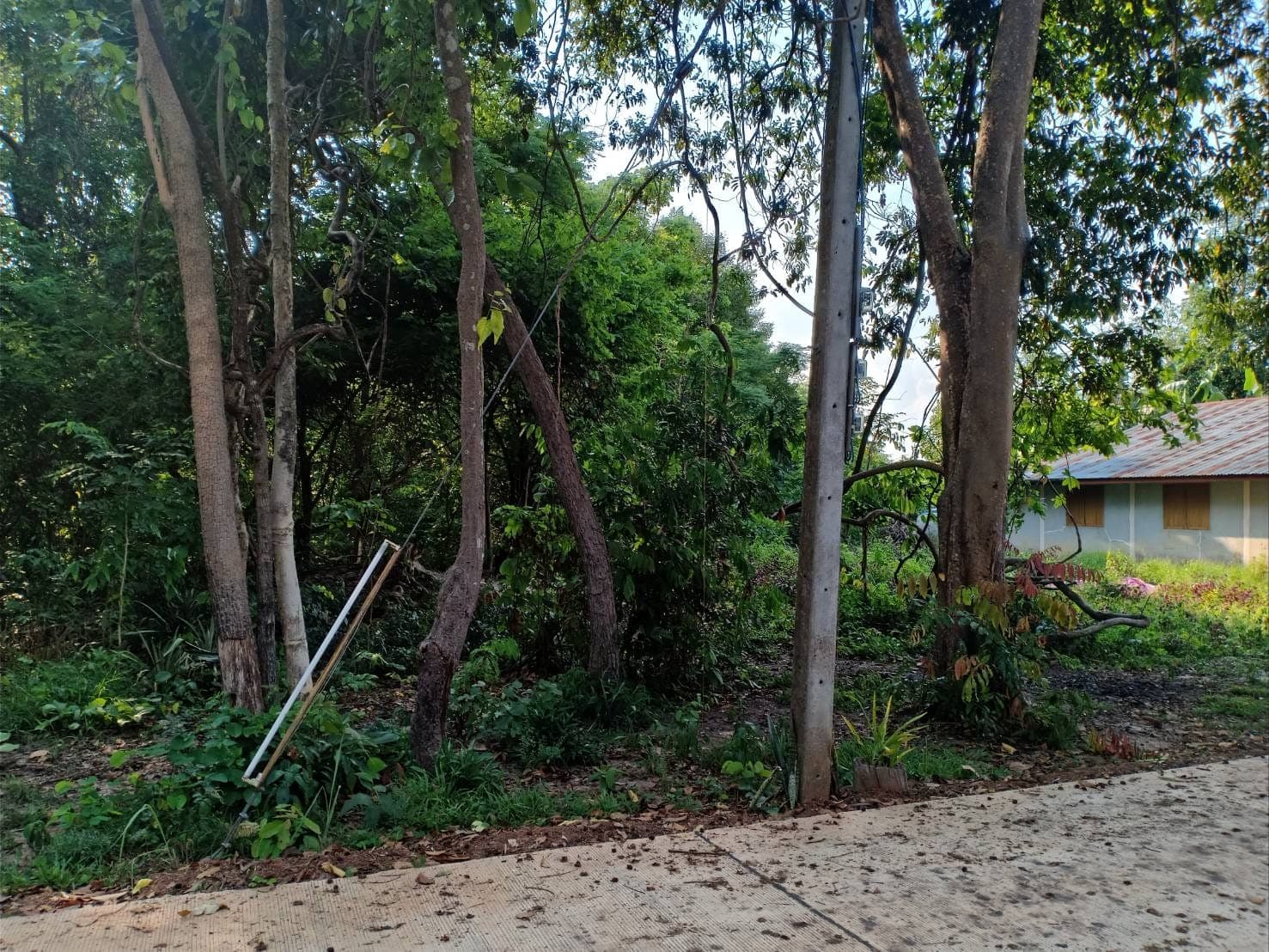 ขายที่ดินสกลนคร เมืองสกลนคร 6-3-18