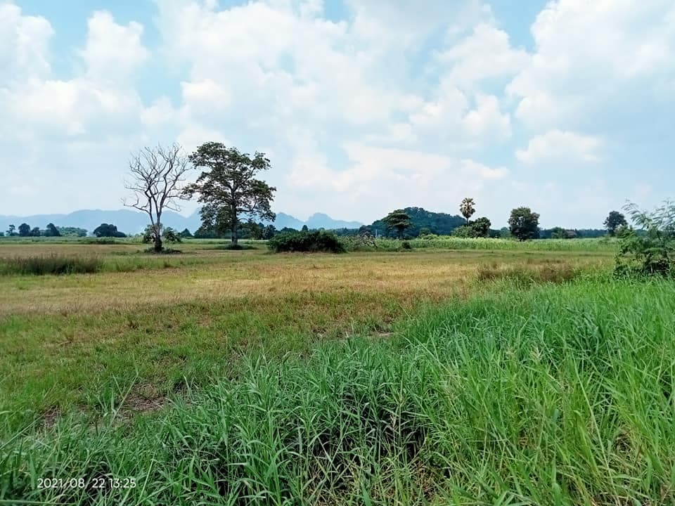 ที่ดินแปลงสวย ลพบุรี 3 ไร่