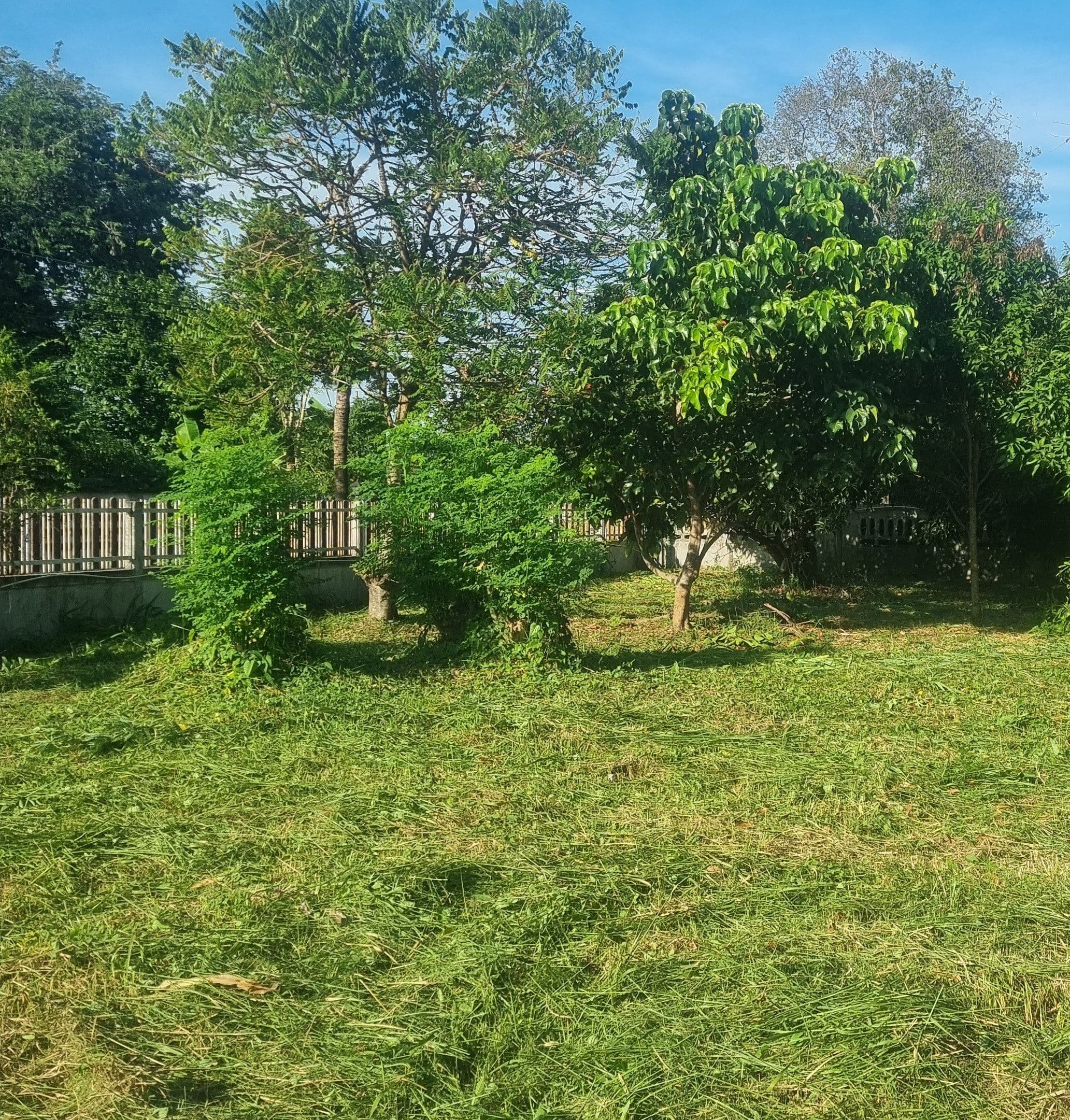 แบ่งขายที่ดินขอนแก่น อำเภอเมืองขอนแก่น ที่ดินปลูกสร้างบ้าน100 ตร.วา ใกล้เมืองขอนแก่น 