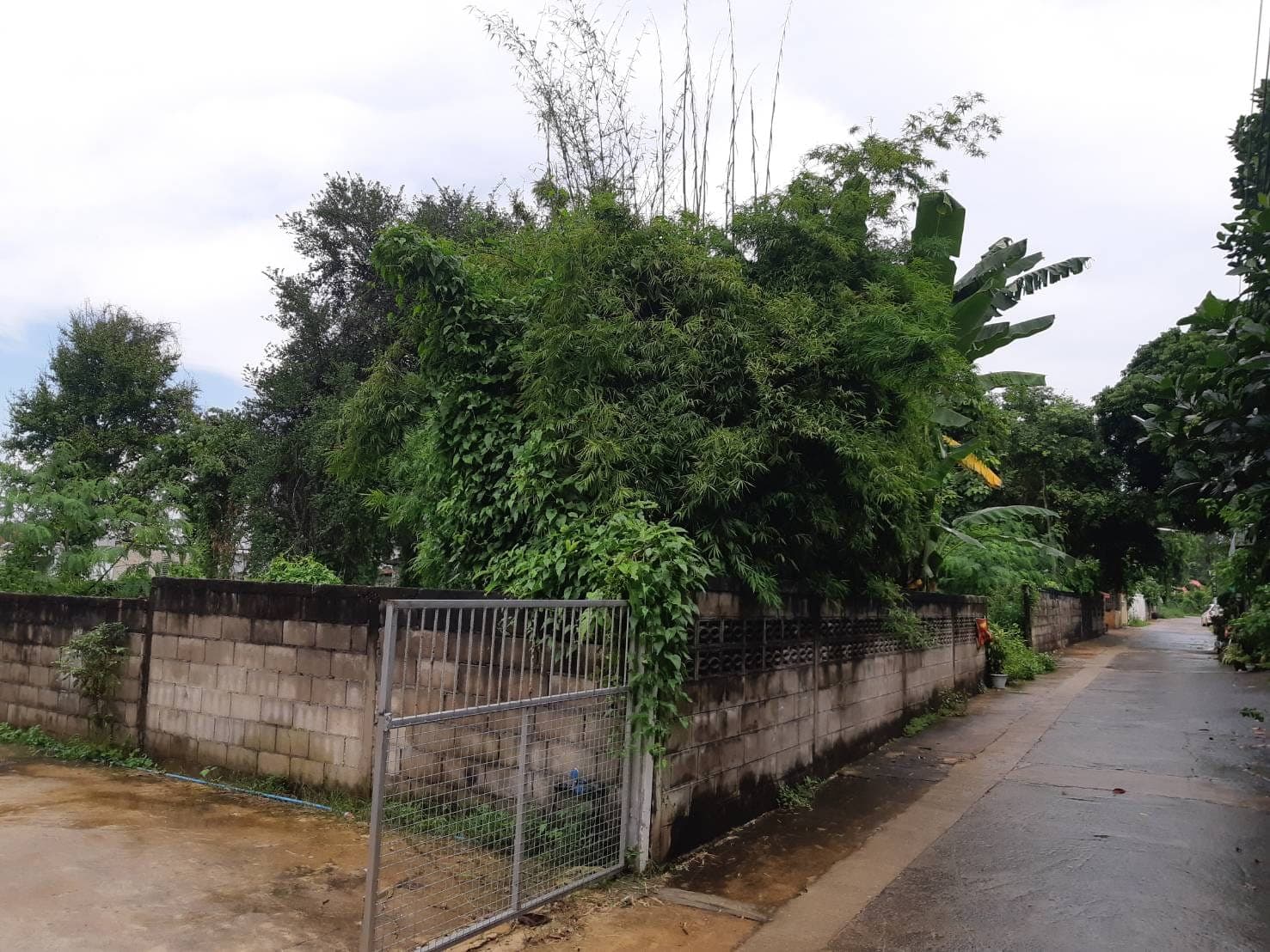 ขายที่ดินขอนแก่น เมืองขอนแก่น 0-2-56.3