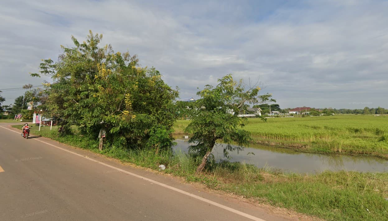 ที่ดินเปล่า อ.สระใคร จ.หนองคาย 