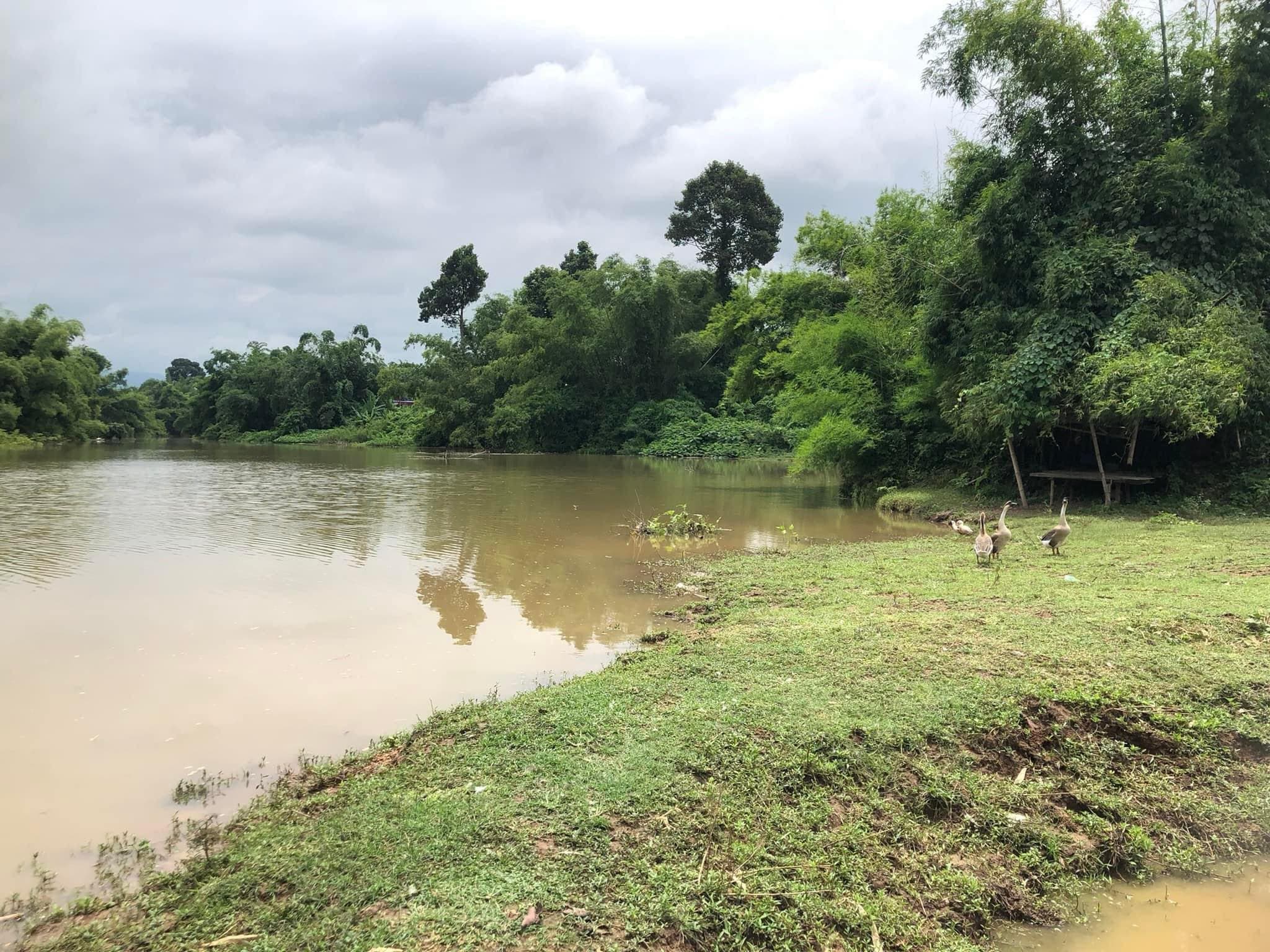 ขายที่ดินปราจีนบุรี ประจันตคาม 32-1-41