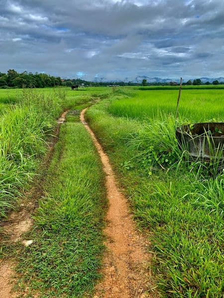 ขายที่ดิน ลำปาง 0-1-22 ไร่