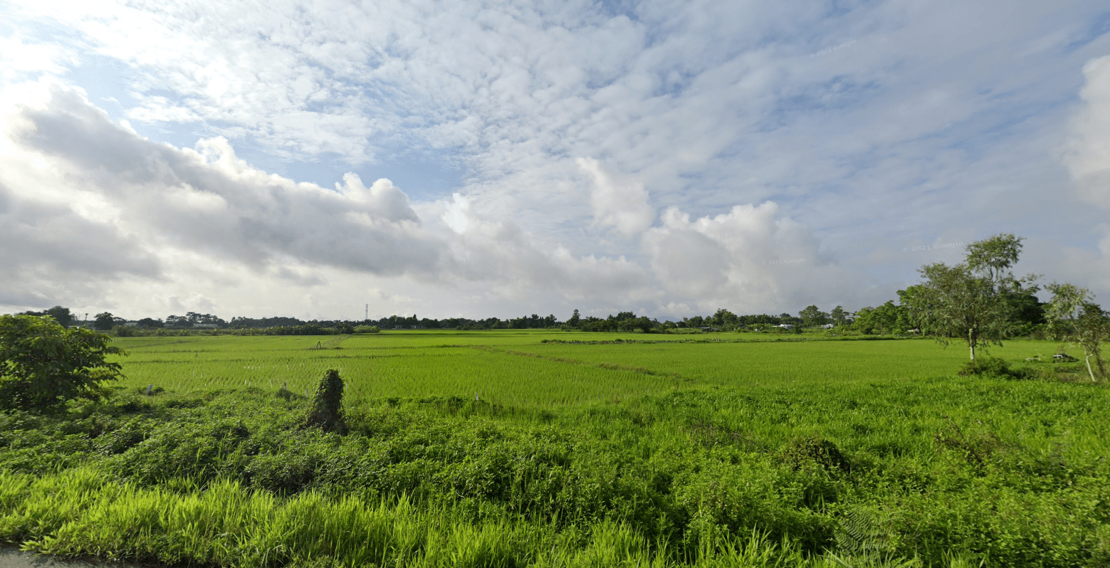 ขายที่ดินเชียงราย 6-1-39.3