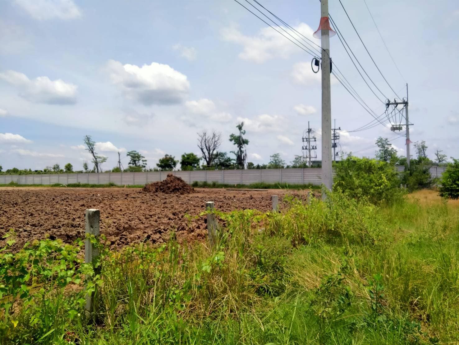 ขายที่ดิน ที่เปล่าแปลงสวย สามโคก ปทุมธานี 2-3-19.6