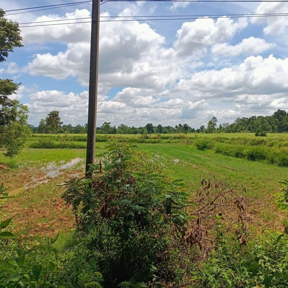 ขายที่ดิน ต.บ้านชัย อ.บ้านดุง จ.อุดรธานี 53-2-22 ไร่