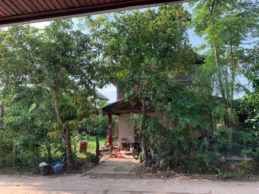 ขายที่ดินพร้อมสิ่งปลูกสร้าง บ้านแพง นครพนม 0--2-10ตรว.