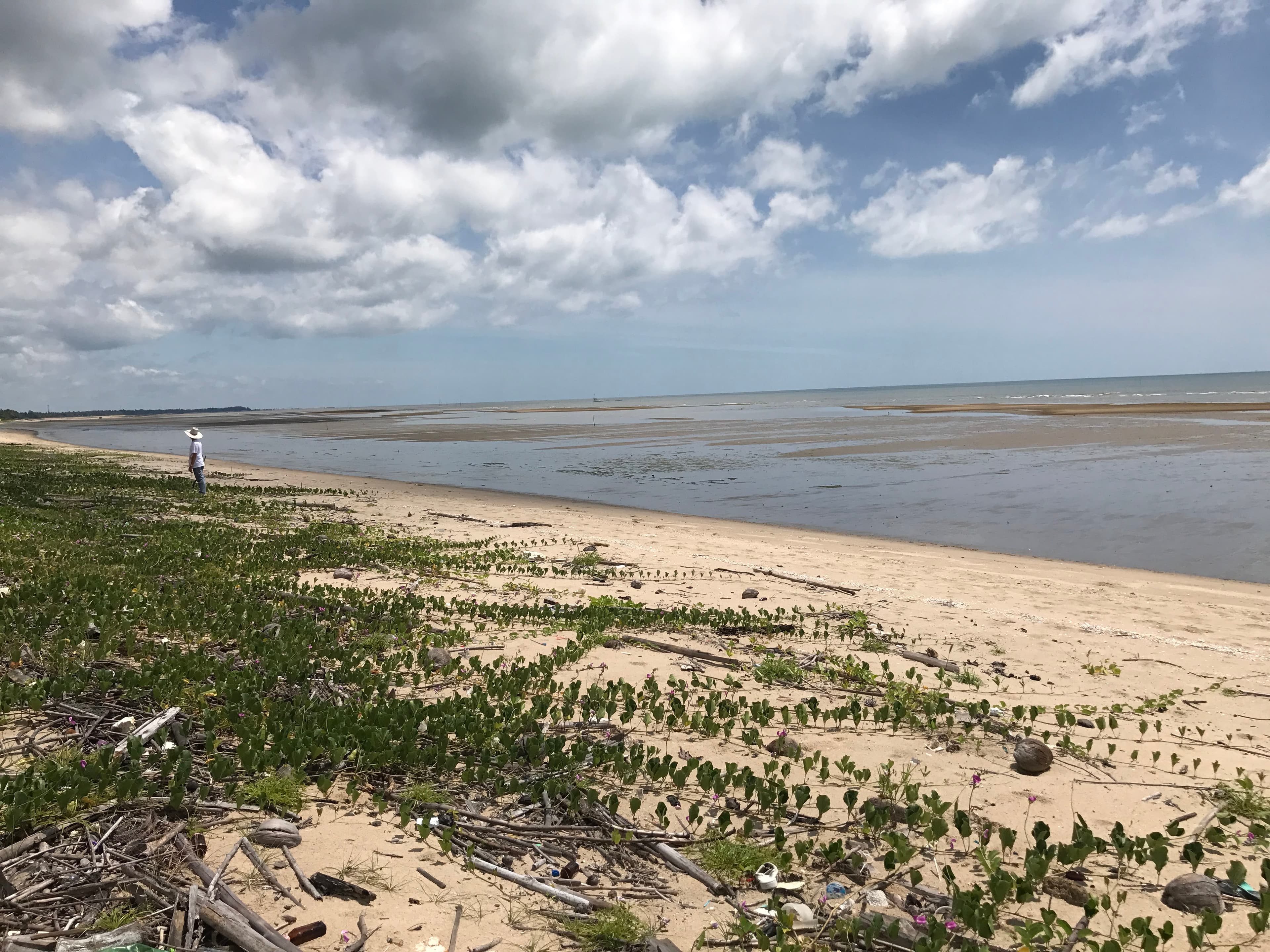 ที่ดินติดชายหาด วิวสวย สุราษฎ์ธานี 11-3-24