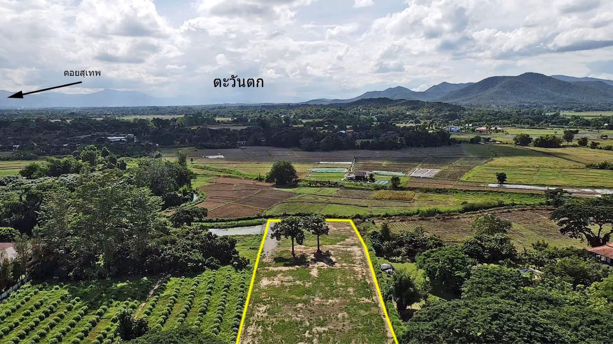 ขายที่ดินเชียงใหม่ จ.เชียงใหม่ อ.ดอยสะเก็ด 3 ไร่