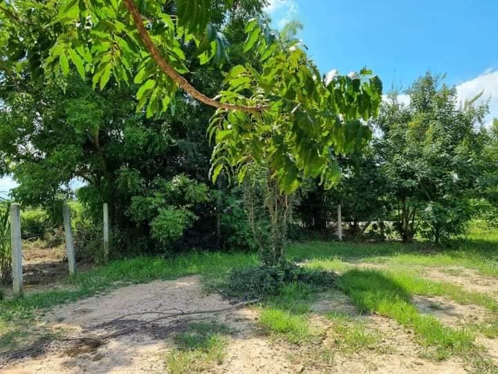 ขายที่ดิน สุพรรณบุรี 1 ไร่