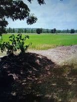 ที่ดินเปล่า ปราจีนบุรี 74-3-84