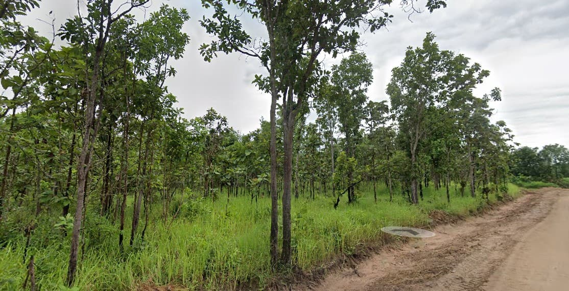 ขายที่ดินเปล่าลำปาง จ.ลำปาง อ.ห้างฉัตร 30-1-11 ไร่
